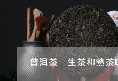 普洱茶 生茶和熟茶哪个好泡一点/2023060217413